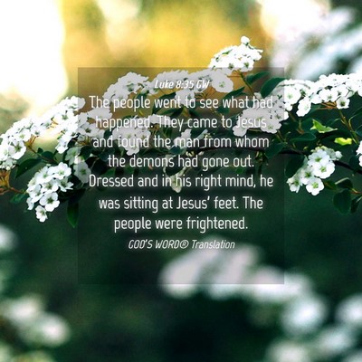 Picture 04 - Luke 8:35 GW - The people went to see what had happened. They - Bible Verse Picture
