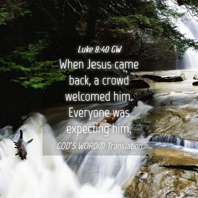Picture 04 - Luke 8:40 GW - When Jesus came back, a crowd welcomed him. - Bible Verse Picture