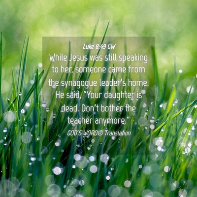 Picture 04 - Luke 8:49 GW - While Jesus was still speaking to her, someone - Bible Verse Picture