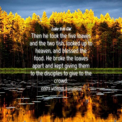 Picture 04 - Luke 9:16 GW - Then he took the five loaves and the two fish, - Bible Verse Picture