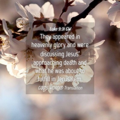Picture 04 - Luke 9:31 GW - They appeared in heavenly glory and were - Bible Verse Picture
