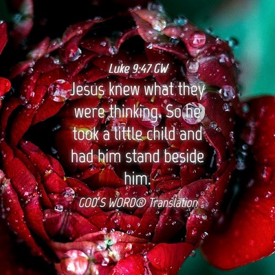 Picture 04 - Luke 9:47 GW - Jesus knew what they were thinking. So he took a - Bible Verse Picture