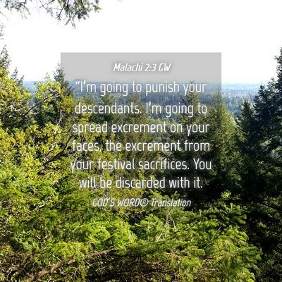 Picture 04 - Malachi 2:3 GW - “I’m going to punish your descendants. I’m - Bible Verse Picture