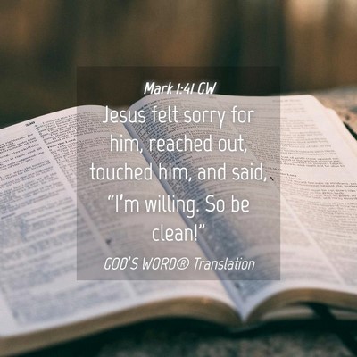 Picture 04 - Mark 1:41 GW - Jesus felt sorry for him, reached out, touched - Bible Verse Picture