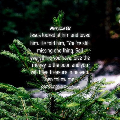 Picture 04 - Mark 10:21 GW - Jesus looked at him and loved him. He told him, - Bible Verse Picture