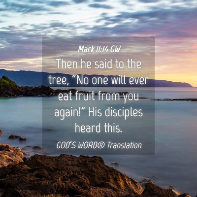 Picture 04 - Mark 11:14 GW - Then he said to the tree, “No one will ever eat - Bible Verse Picture