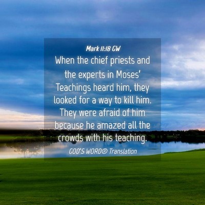 Picture 04 - Mark 11:18 GW - When the chief priests and the experts in - Bible Verse Picture