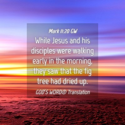 Picture 04 - Mark 11:20 GW - While Jesus and his disciples were walking early - Bible Verse Picture