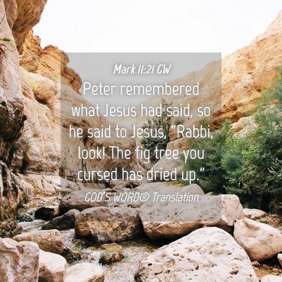 Picture 04 - Mark 11:21 GW - Peter remembered what Jesus had said, so he said - Bible Verse Picture