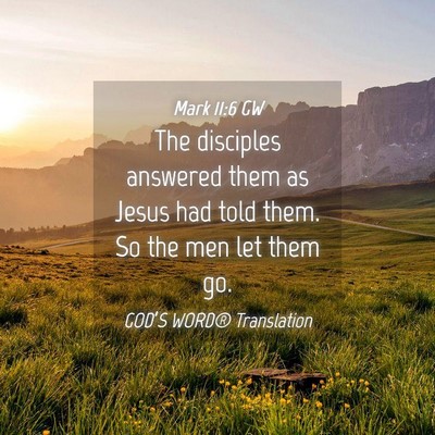 Picture 04 - Mark 11:6 GW - The disciples answered them as Jesus had told - Bible Verse Picture