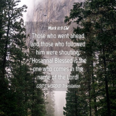 Picture 04 - Mark 11:9 GW - Those who went ahead and those who followed him - Bible Verse Picture