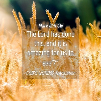 Picture 04 - Mark 12:11 GW - The Lord has done this, and it is amazing for us - Bible Verse Picture