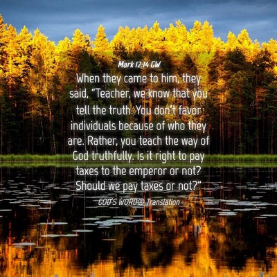 Picture 04 - Mark 12:14 GW - When they came to him, they said, “Teacher, we - Bible Verse Picture