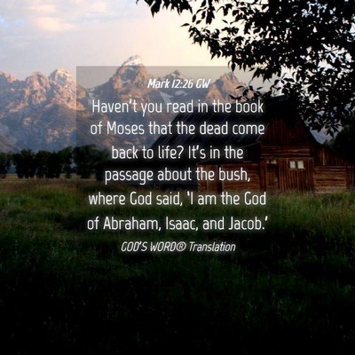 Picture 04 - Mark 12:26 GW - Haven’t you read in the book of Moses that the - Bible Verse Picture