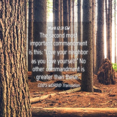 Picture 04 - Mark 12:31 GW - The second most important commandment is this: - Bible Verse Picture