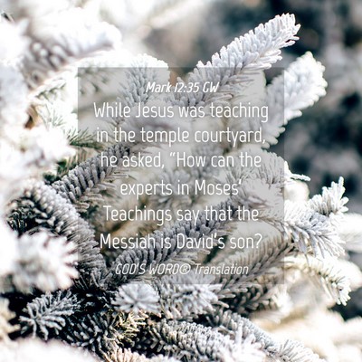 Picture 04 - Mark 12:35 GW - While Jesus was teaching in the temple courtyard, - Bible Verse Picture