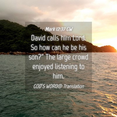 Picture 04 - Mark 12:37 GW - David calls him Lord. So how can he be his - Bible Verse Picture