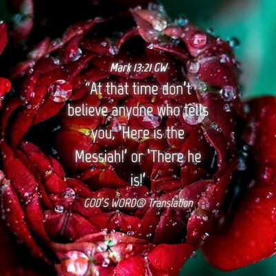 Picture 04 - Mark 13:21 GW - “At that time don’t believe anyone who tells - Bible Verse Picture