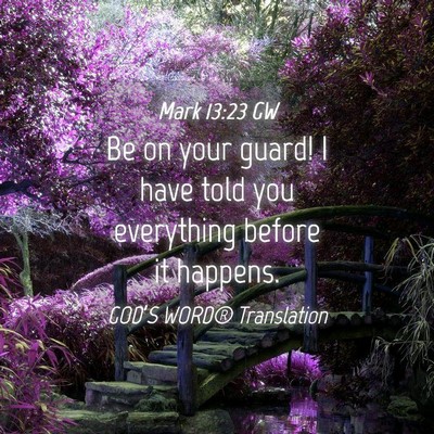 Picture 04 - Mark 13:23 GW - Be on your guard! I have told you everything - Bible Verse Picture