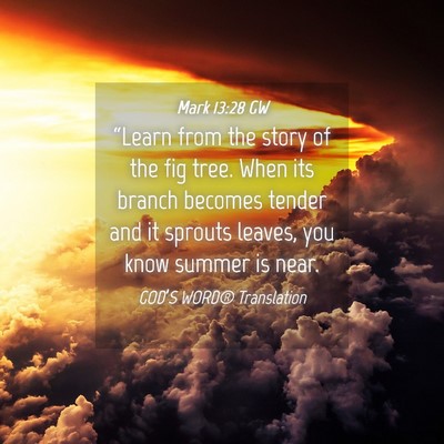 Picture 04 - Mark 13:28 GW - “Learn from the story of the fig tree. When its - Bible Verse Picture