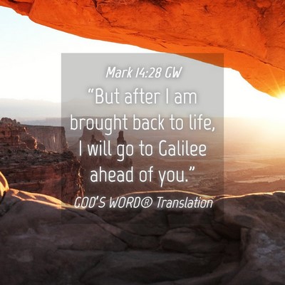 Picture 04 - Mark 14:28 GW - “But after I am brought back to life, I will go - Bible Verse Picture