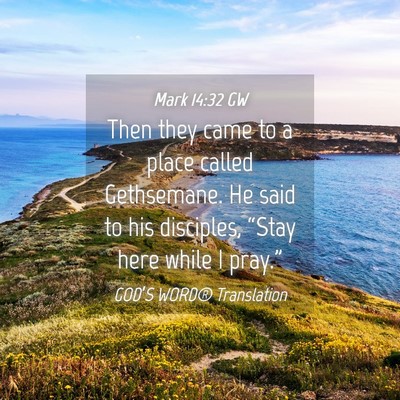 Picture 04 - Mark 14:32 GW - Then they came to a place called Gethsemane. He - Bible Verse Picture