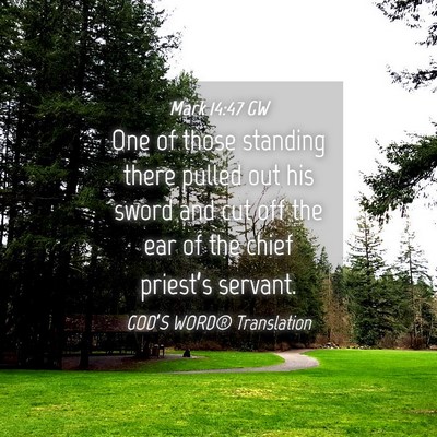 Picture 04 - Mark 14:47 GW - One of those standing there pulled out his sword - Bible Verse Picture