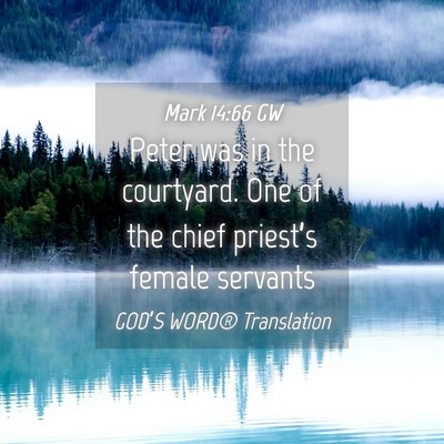 Picture 04 - Mark 14:66 GW - Peter was in the courtyard. One of the chief - Bible Verse Picture