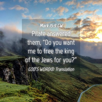Picture 04 - Mark 15:9 GW - Pilate answered them, “Do you want me to free - Bible Verse Picture