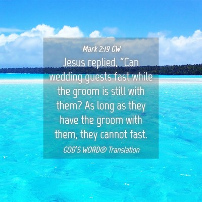 Picture 04 - Mark 2:19 GW - Jesus replied, “Can wedding guests fast while - Bible Verse Picture