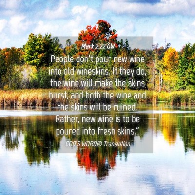 Picture 04 - Mark 2:22 GW - People don’t pour new wine into old wineskins. - Bible Verse Picture