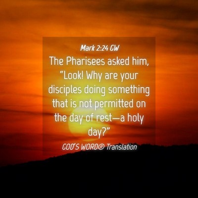 Picture 04 - Mark 2:24 GW - The Pharisees asked him, “Look! Why are your - Bible Verse Picture