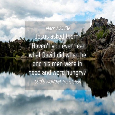 Picture 04 - Mark 2:25 GW - Jesus asked them, “Haven’t you ever read what - Bible Verse Picture