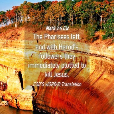 Picture 04 - Mark 3:6 GW - The Pharisees left, and with Herod’s followers - Bible Verse Picture