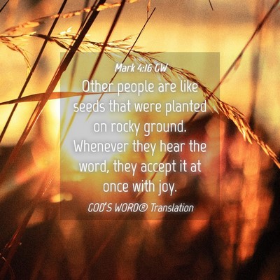 Picture 04 - Mark 4:16 GW - Other people are like seeds that were planted on - Bible Verse Picture