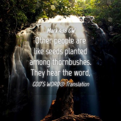 Picture 04 - Mark 4:18 GW - Other people are like seeds planted among - Bible Verse Picture