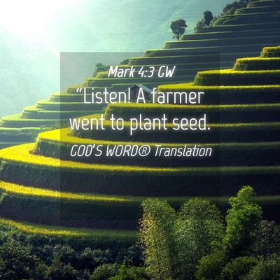 Picture 04 - Mark 4:3 GW - “Listen! A farmer went to plant - Bible Verse Picture
