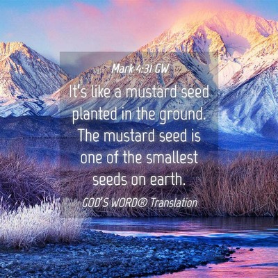 Picture 04 - Mark 4:31 GW - It’s like a mustard seed planted in the ground. - Bible Verse Picture