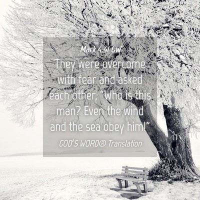 Picture 04 - Mark 4:41 GW - They were overcome with fear and asked each - Bible Verse Picture