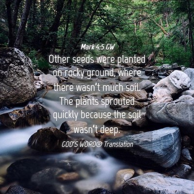 Picture 04 - Mark 4:5 GW - Other seeds were planted on rocky ground, where - Bible Verse Picture