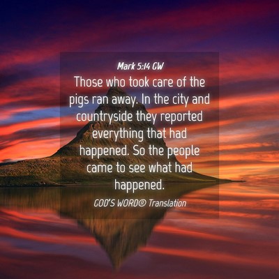 Picture 04 - Mark 5:14 GW - Those who took care of the pigs ran away. In the - Bible Verse Picture