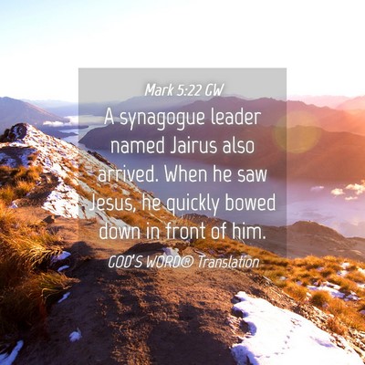 Picture 04 - Mark 5:22 GW - A synagogue leader named Jairus also arrived. - Bible Verse Picture