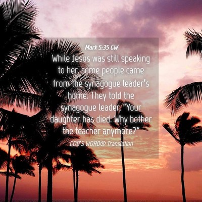 Picture 04 - Mark 5:35 GW - While Jesus was still speaking to her, some - Bible Verse Picture