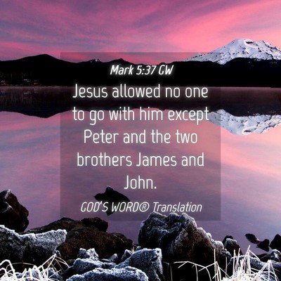 Picture 04 - Mark 5:37 GW - Jesus allowed no one to go with him except Peter - Bible Verse Picture