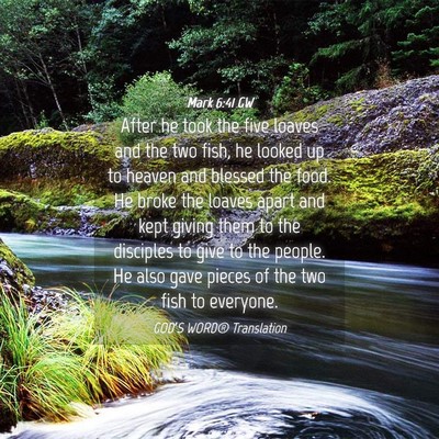 Picture 04 - Mark 6:41 GW - After he took the five loaves and the two fish, - Bible Verse Picture