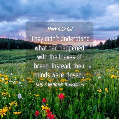 Picture 04 - Mark 6:52 GW - (They didn’t understand what had happened with - Bible Verse Picture