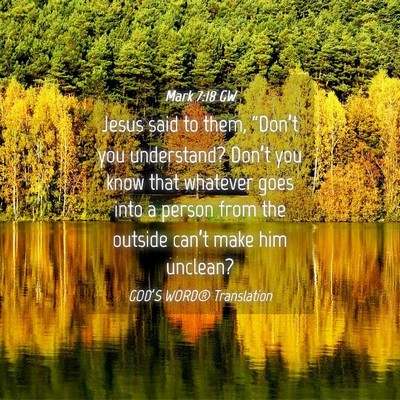 Picture 04 - Mark 7:18 GW - Jesus said to them, “Don’t you understand? - Bible Verse Picture