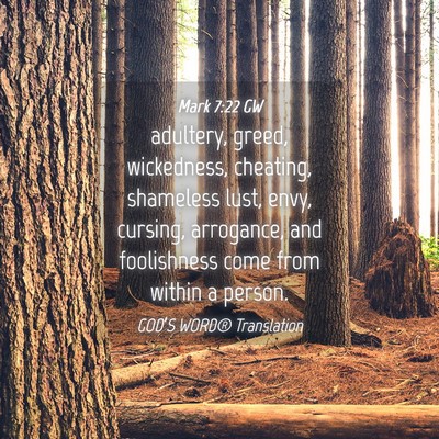 Picture 04 - Mark 7:22 GW - adultery, greed, wickedness, cheating, shameless - Bible Verse Picture