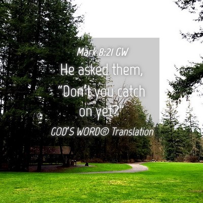 Picture 04 - Mark 8:21 GW - He asked them, “Don’t you catch on - Bible Verse Picture