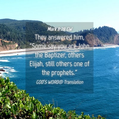 Picture 04 - Mark 8:28 GW - They answered him, “Some say you are John the - Bible Verse Picture